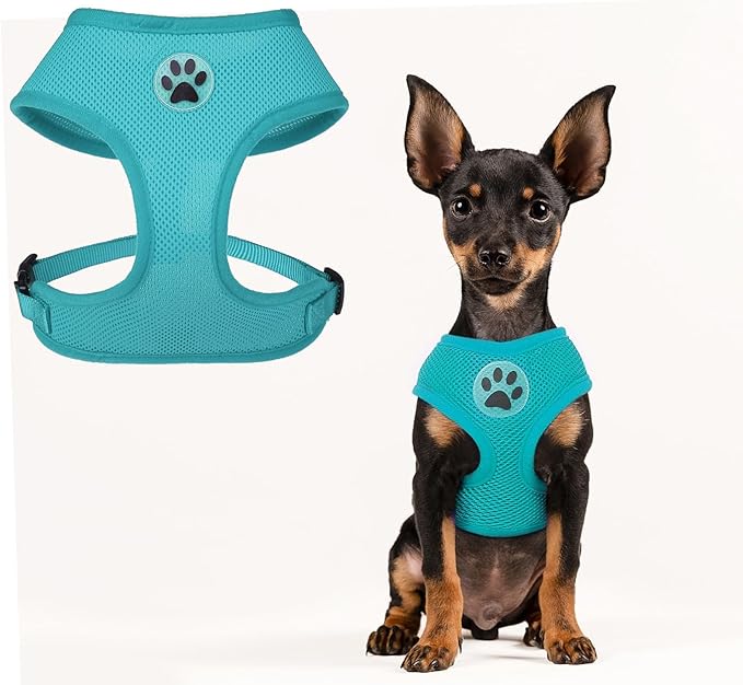 BINGPET No Pull Dog Harness,All Weather Mesh Step-in Vest Harness for Small Dogs,Breathable Mesh Puppy & Cat Harness-PawvioPets
