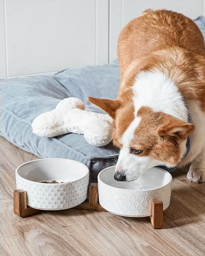 Dog Bowls Ceramic for Small Medium Dogs - 3-Cup Dual Food & Water Bowl Set with Acacia Wood Stand, Non-Slip Anti-Tip Elevated Design-PawvioPets
