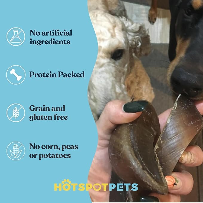 Full-Size Cow Hooves for Dogs | (5 Pack) All-Natural Long Lasting Dog Chews | Made from Grass Fed Cattle | Tasty Treat for Oral Hygiene | Fantastic Alternative for Rawhide and Bully Sticks-PawvioPets
