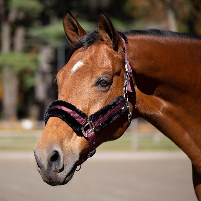 Equinavia Valkyrie Soft Ultra Fleece Padded Adjustable Breakaway Horse Halter - Wine Red/Black - Warmblood-PawvioPets