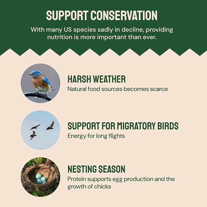 Dried Mealworms - 2 Lb Bag - High Protein Chicken Feed, Mealworms for Birds & Chickens - Meal Worms for Wild Birds & Turtles-PawvioPets