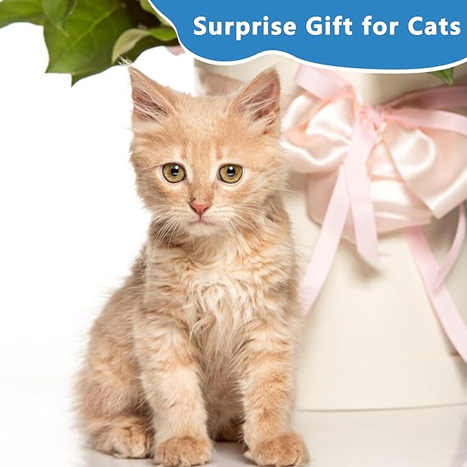 3pcs Safe Cat Rope Toy,Teeth Clean Toy for Cat, Cat Chew Toys for Indoor Cat,Kitten Interactive Toys-PawvioPets