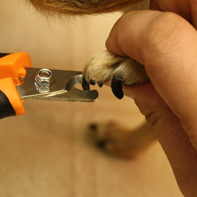 GoPets Pet Nail Clipper Bundle for Dogs and Cats with Large and Small Nail Trimmer with Free Nail File Grinder with Quick Guard and Angled Blades for Safety 2 Nail Cutter Bundle-PawvioPets