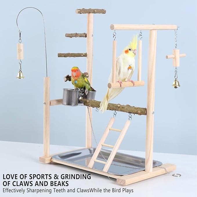 Bird Playground Parrot Playstand Bird Perch Stand Gym Natural Wood Play Stand with Swing Ladder Feeder Cups for Parakeets Cockatiels Lovebirds Conures Budgies-PawvioPets