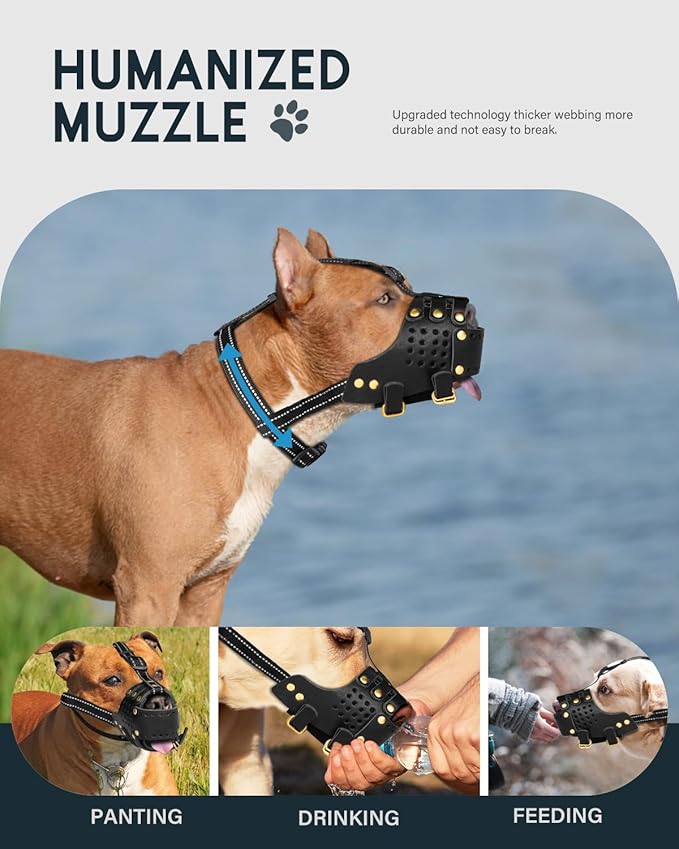 Dog Muzzle, Leather Basket Soft Muzzles Medium Large Breeds, Pitbull Dog Muzzle Amstaff Staffordshire Terrier, German Shepherd Dalmatian Doberman Adjustable (XL)-PawvioPets