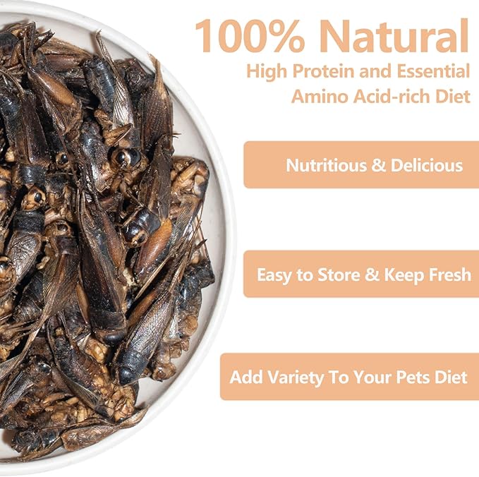 Freeze Dried Crickets – 4.5 Oz High Protein Freeze Dried Crickets, Food for Reptiles, Bearded Dragons, Lizards, Geckos, Birds, Fish,Hedgehogs, Bearded Dragon Food-PawvioPets