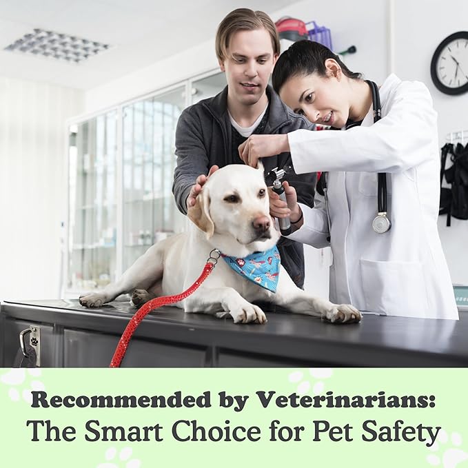 Canine Hitch- Secure Dog Leash Parking Mounted Indoor – Outdoor Wall Hook - Tie Out Stainless Steel Practical Lead Management for Home & Business, Slim Compact-PawvioPets