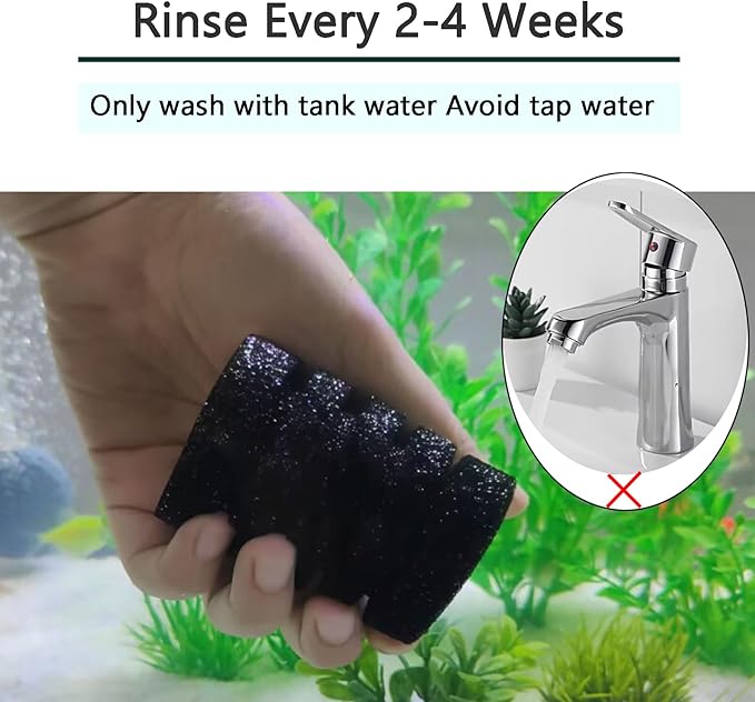AQUANEAT Aquarium Air Powered Sponge Filter with Ceramic Media Balls, for Betta Fry Shrimp Fish Tank, with 2 Spare Sponges, Small-PawvioPets