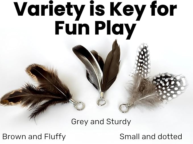 Feather Toys Replacements (3 Pc) - Cat Toys & Kitten Toys for Indoor Kittens, Set of Replacement Feather Attachments Extra Small and Durable, for Cat Wands, Natural and Safe-PawvioPets