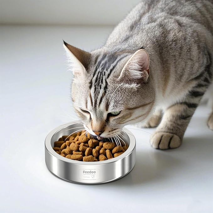 20oz Stainless Steel Cat Food & Water Bowl - Double Walled 304 Stainless Steel Non-Slip Cat Dish | BPA-Free & Dishwasher Safe for Indoor Cats-PawvioPets