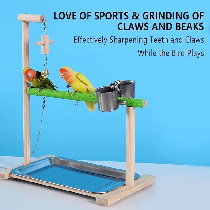 Bird Palyground, Parrot Playstand Natural Wood, Bird Perch Stand Gym with Feeder Cups and Removable Tray, Bird Cage Accessories for Parakeets Cockatiels Lovebirds-PawvioPets