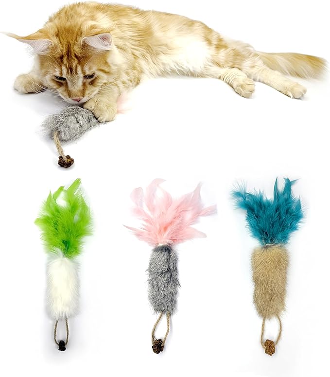 3 Pack Rabbit Fur Catnip Toys with Feathers – Interactive Carrot Cat Toys with Galls Fruit for Indoor Cats and Kittens-PawvioPets