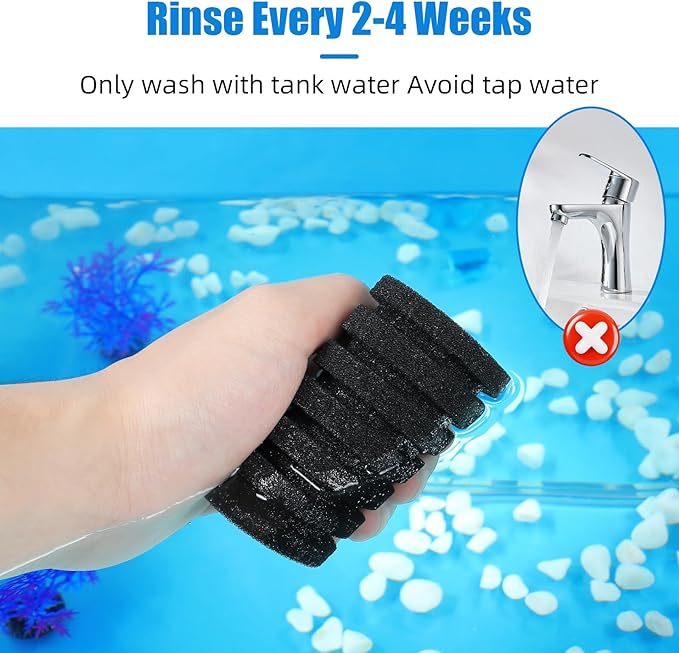 AQUANEAT 1 Pack Double Bio Sponge Filter, for Fry, Betta, Shrimp, Nano, Aquarium Fish Tank (Small up to 20Gal)-PawvioPets