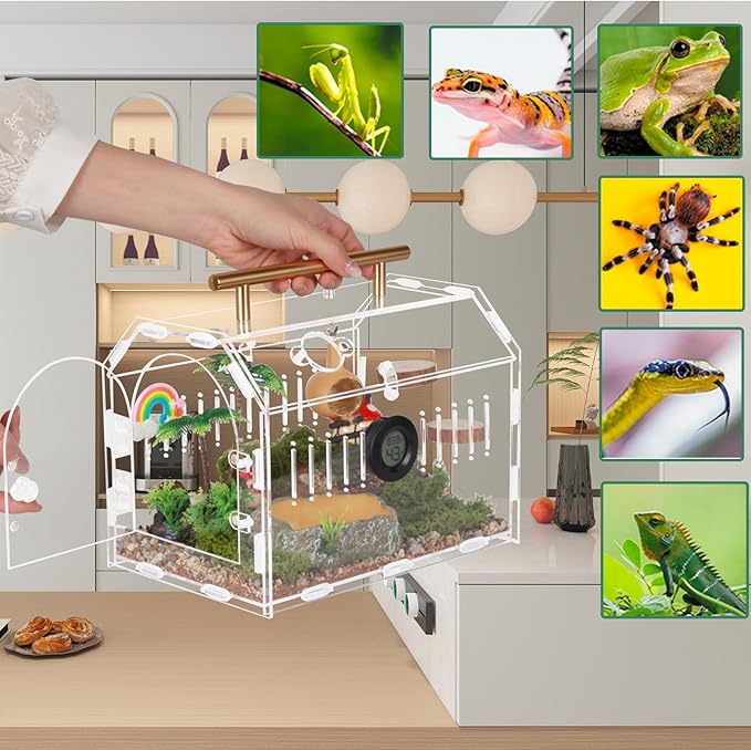 Acrylic Tarantula Enclosure – Escape-Proof Reptile Terrarium with Magnetic Lock, Front Opening for Easy Cleaning, Ideal for Jumping Spiders, Hermit Crabs & Small Pets-PawvioPets