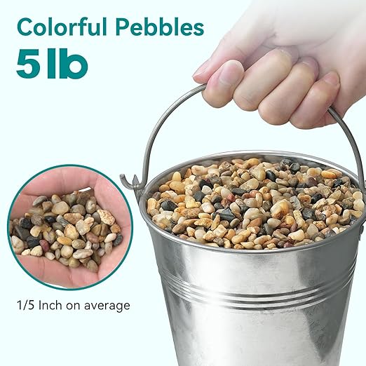 5 lbs Small Rocks for Plants, 1/5 Inch Gravel for Plants Drainage, Decorative Potting Pebbles for Indoor Plants, Vases, Bamboo, Succulent, Terrarium, Crafts, Cactus-PawvioPets