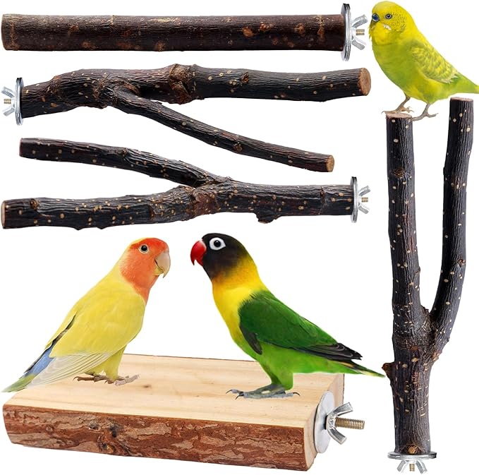 Bird Toys Parakeet Perch Budgie Perch Wood Stand Fork Toys Multi-Branch Perch Platform Toy for Small Conures,Cockatiel,Parrotlet,Lovebird,Parrot,Finches-PawvioPets