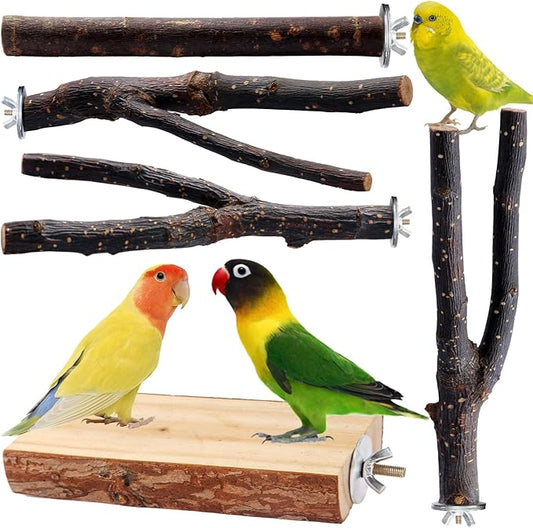 Bird Toys Parakeet Perch Budgie Perch Wood Stand Fork Toys Multi-Branch Perch Platform Toy for Small Conures,Cockatiel,Parrotlet,Lovebird,Parrot,Finches-PawvioPets