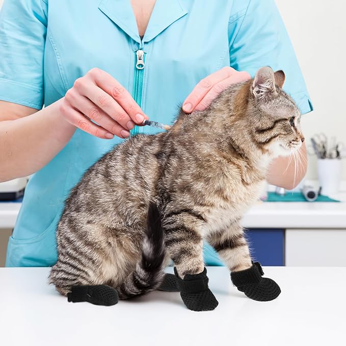 Cat Booties to Prevent Scratching: 4pcs AntiScratch Cat Claw Covers for Feeding Medicine, Pet Grooming, Bathing Shaving Checking, and Nail Trimming, Black Pet Shoes Socks Caps Mittens Paw Protector M-PawvioPets