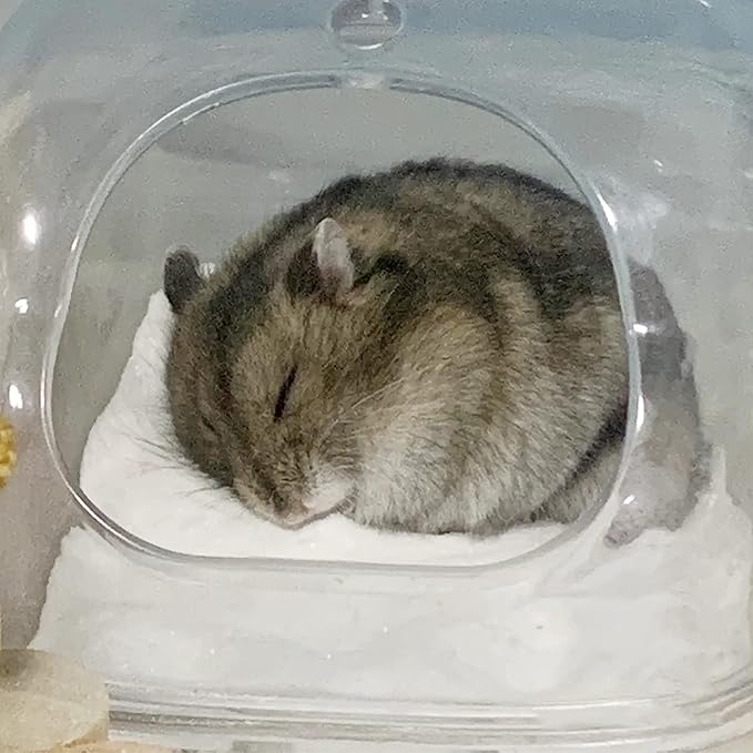 DR.DUDU Hamster Bath Sand, 6.6lb Dust Free Desert Sand or Potty Litter Sand for Hamster Chinchillas Gerbil Syrian Mice Small Animals (White)-PawvioPets