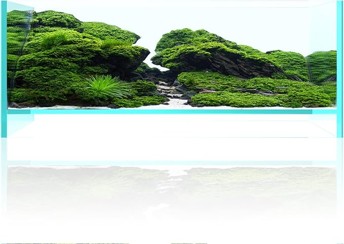 Fzone 1.7 Gal Nano Rimless Aquarium Low Iron Fish Tank NovaClear Ultra-White Translucent Glass Verso Series Nano Shallow Pond Levitating Floating Air Aquarium(A30-W18)-PawvioPets