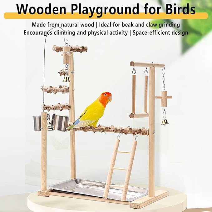 Bird Playground Parrot Playstand Bird Perch Stand Gym Natural Wood Play Stand with Swing Ladder Feeder Cups for Parakeets Cockatiels Lovebirds Conures Budgies-PawvioPets
