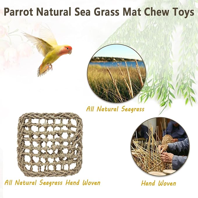 BNOSDM Bird Seagrass Mat, 3 PCS 7.1 x 7.1 Inches Parrot Natural Seagrass Woven Bird Net Hammock Mat, Parakeet Climbing Rope Ladder Chew Toys Hut Hideout for Lovebird Cockatiel Conure Budgie-PawvioPets