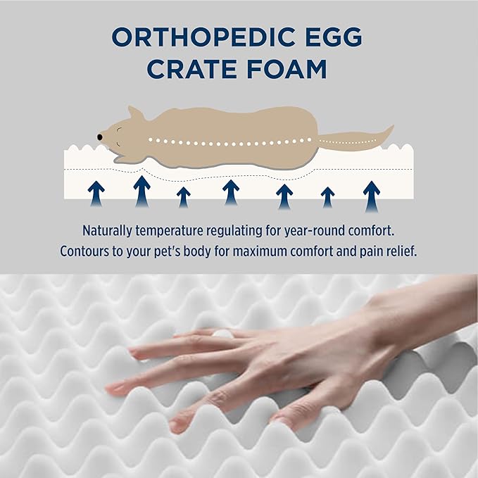 Bedsure XL Dog Beds Large Sized Dog - Extra-Large Orthopedic Flat Puppy Bed with Removable Washable Cover, Egg Crate Foam Pet Mat, Suitable for Pet Up to 100 lbs-PawvioPets