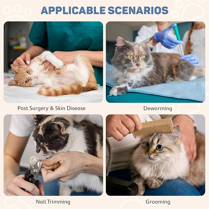 Avont Soft Cat Recovery Cone Collar, Adjustable Lightweight Kitten E-Collar for Small Dogs, Comfortable Neck Donut Stop Licking Scratching After Surgery -Popcorn(M)-PawvioPets