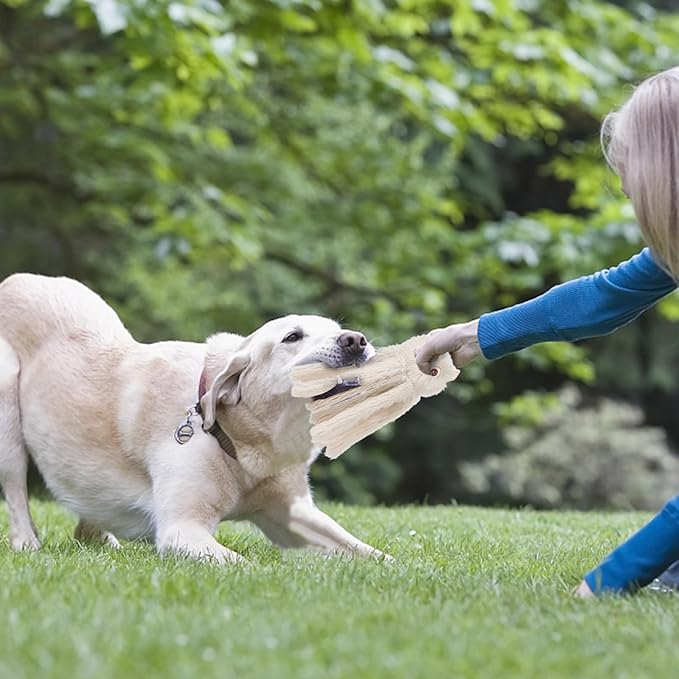 DODODOLA Dog Toys Squeaky Dog Toys with Crinkle Paper Cute Stuffed Octopus Durable Dog Plush Toys for Large Breed Dog Chew Toys for Small, Medium, Large Dogs-PawvioPets