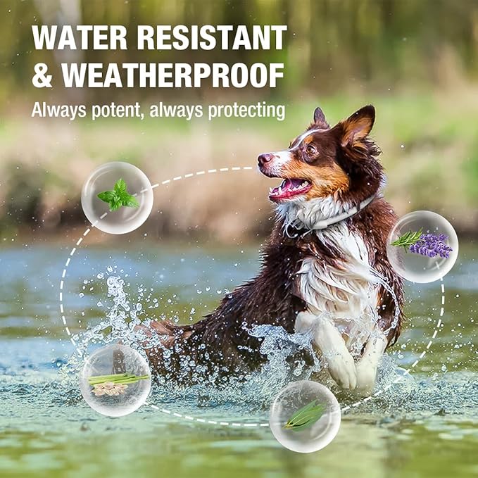 EcoVenger Flea & Tick Collar Repellent 2-Pack White, Fits Both Dogs & Cats, Built-in Pant-Based Formula Strong Repellency Slow Release, Lasting Deterrence and Protection, Pleasant Aroma, Waterproof-PawvioPets