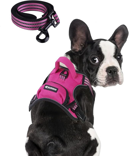 BUMBIN Dog Harness for Large Dogs, No Pull Adjustable No Choke Pet Vest with Dog Leash Fit Smart Reflective Pet Walking Harness for Training Easy Control Soft Handle Rose Red S-PawvioPets