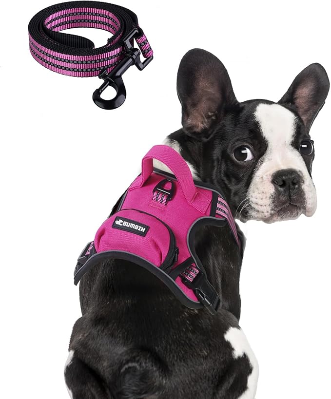 BUMBIN Dog Harness for Large Dogs, No Pull Adjustable No Choke Pet Vest with Dog Leash Fit Smart Reflective Pet Walking Harness for Training Easy Control Soft Handle Rose Red M-PawvioPets