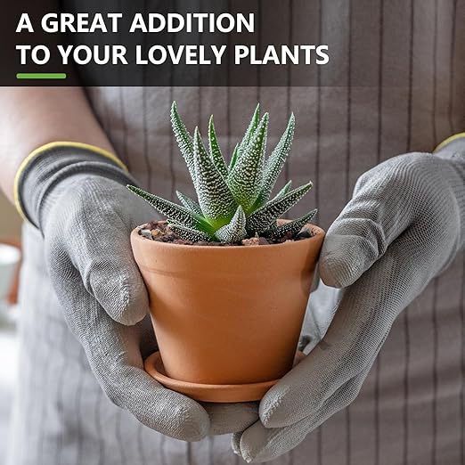 2.5lbs Small Rocks for Terrarium, Planters Drainage, 1/5 Inch Lava Rock for Bonsai Tree, Decorative Gravel for Succulents, Bamboo, Cactus, Mixed Color-PawvioPets