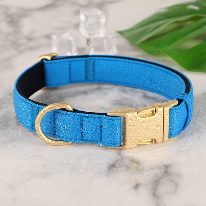 Didog Soft Padded Dog Collars for Small Dogs, Colorful and Durable Dog Collar with Quick Release Buckle, Light and Breathable for Daily Walking, Blue, S-PawvioPets