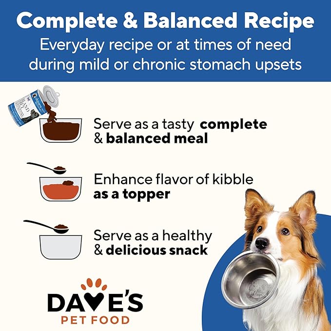 Dave's Pet Food Bland Diet Dog Food (Chicken & Rice), Sensitive Stomach, Easy to Digest, Gluten-Free, Digestive Care, Wet Canned, 13.2 oz (Case of 12)-PawvioPets