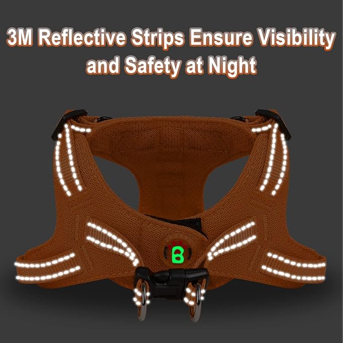 Dog Harness Step in Dog Vest Harness, Reflective Adjustable Puppy No Pull Harness Breathable Soft for Small and Medium Dogs Cats, Orange, XXS-PawvioPets