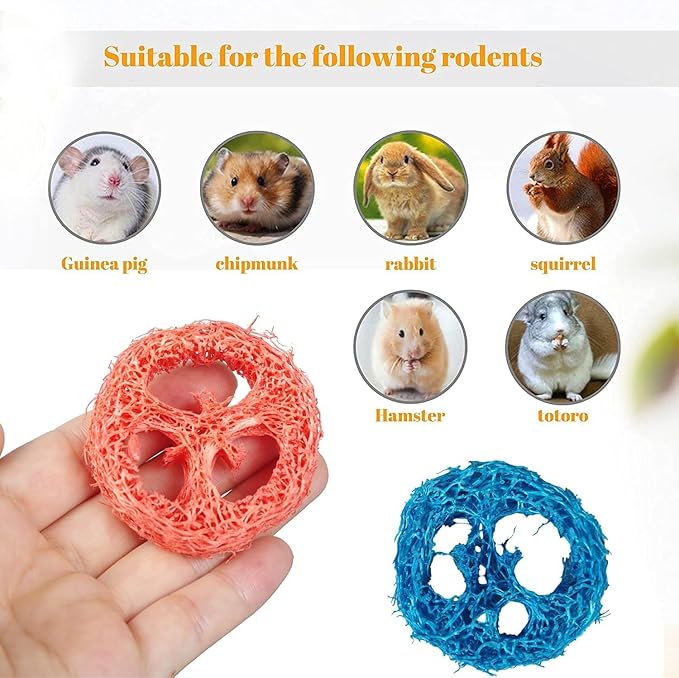 15 Pcs Fruit Flavored Loofah Slices Rabbit Chew Toys Guinea Pig Chew Toys Small Pet Chews Bunny Toys for Teeth Rabbit Toys-PawvioPets