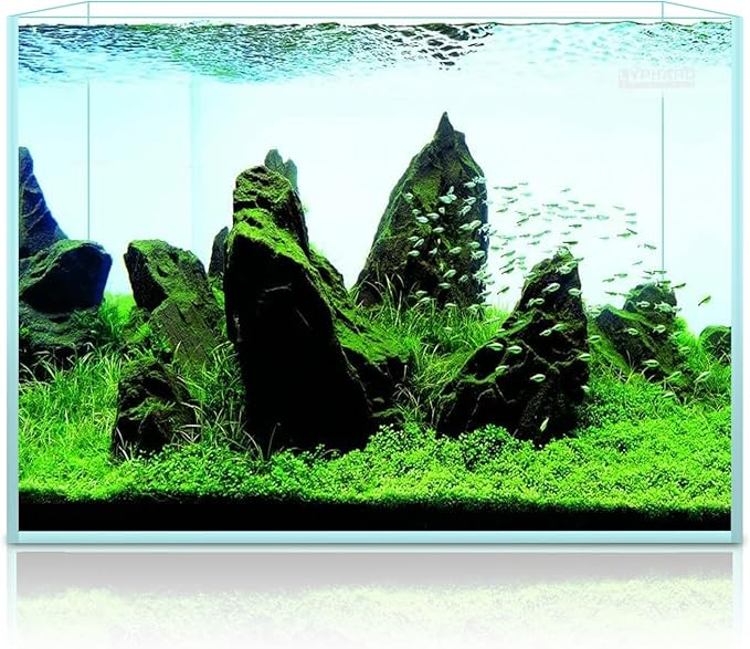 3.5 Gallon Rimless Aquarium, Ultra Clear Low Iron Nano Fish Tank for Betta Shrimp, L15×W5.5×H9.8 Glass Thickness 5mm with EVA Foam Leveling Mat-PawvioPets