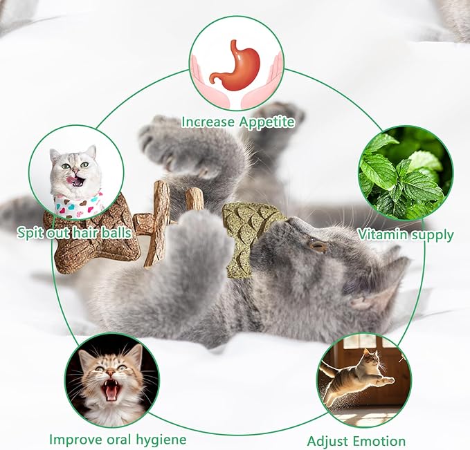 3 Pack Catnip Toys, Healthy Cat & Kitten Teeth Cleaning Dental Chew Toy, Contain Catnip, Natural Silvervine, and Gall Fruit, Interactive Cat Toys for Indoor Cats, are Edible for All Cats Breeds-PawvioPets