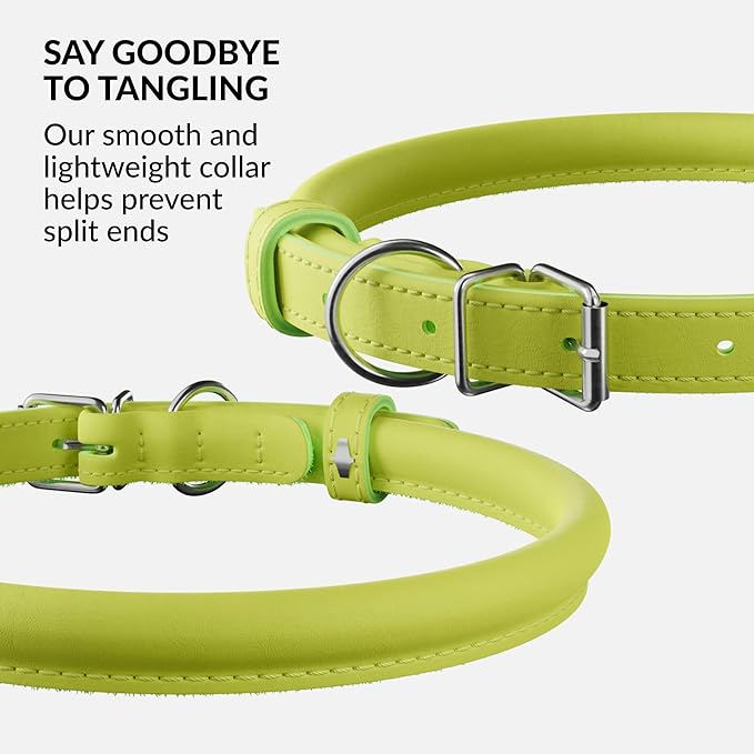 CollarDirect Rolled Leather Dog Collar, Soft Padded Round Puppy Collar, Handmade Genuine Leather Collar Dog Small Large Cat Collars 13 Colors (8-11 Inch, Lime Green Smooth)-PawvioPets