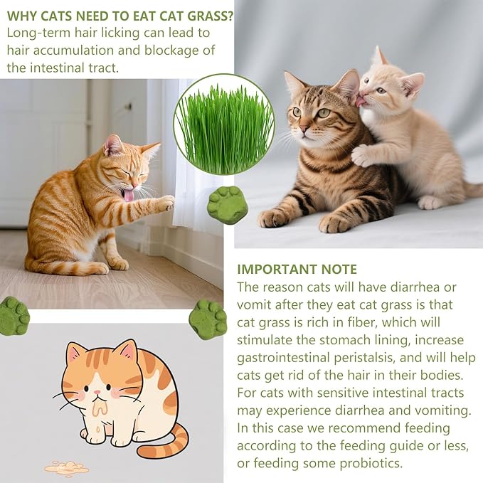 Cat Grass for Indoor Cat, 4.5 oz Cat Grass Teething Sticks, Natural Cat Dental Care Treat, Edible Snack for Teeth Cleaning and Hairball Removal-PawvioPets