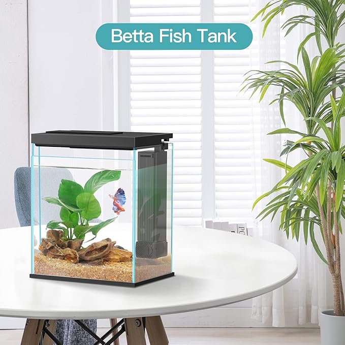 Betta Fish Tank, 2 Gallon Glass Aquarium Starter Kit, Small Fish Tank with Filter and Light.(Black)-PawvioPets