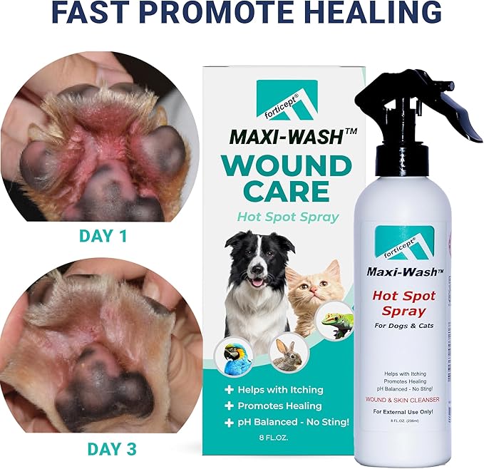 Forticept Maxi-Wash Hot Spot Spray Treatment, Wound Care & Itch Relief Spray for Dogs and Cats. Relives Scratching, Rashes, Sores, Itchy Skin and Paw Licking 8 oz-PawvioPets