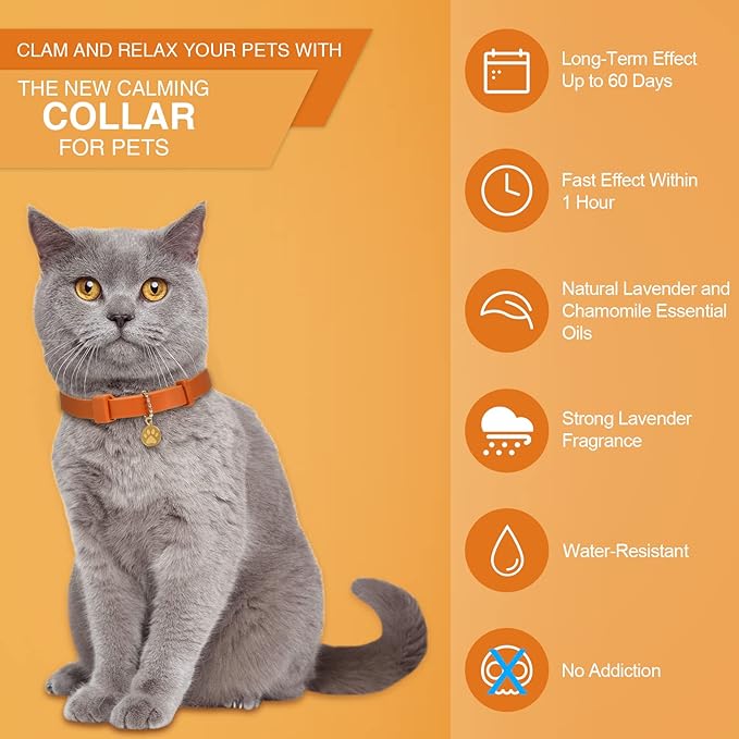 4 Pcs Cat Calming Collar Adjustable Lavender Scent Relaxing Cat Collar with 2 Pendant for Puppies Reduce Stress Aggression Anxious, up to 15 Inches(Orange)-PawvioPets