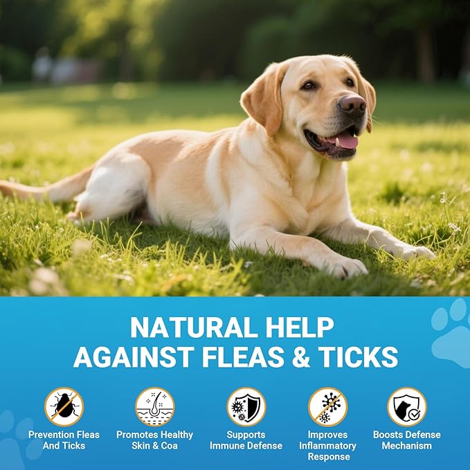Flea and Tick Prevention for Dogs, 180 Soft Chews Natural Dog Flea and Tick Chewables Oral Flea Supplement for Dogs, Puppy Flea Support - All Breeds & Ages - Chicken Flavor-PawvioPets