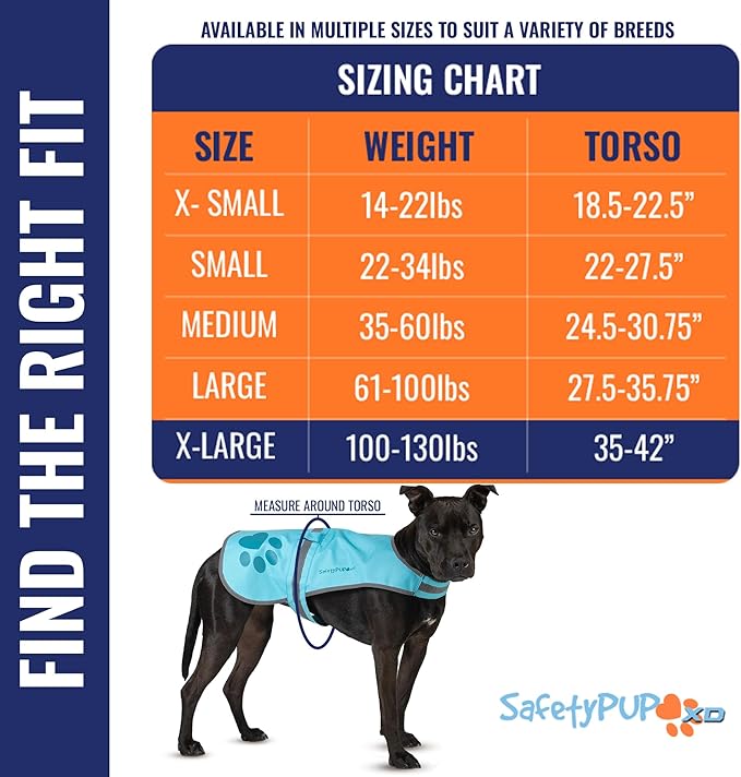 Dog Reflective Vest – Hi-Vis Fluorescent Visibility That Helps to Safeguard Your Pet On/Off Leash in Urban & Rural Areas (Teal, X-Large)-PawvioPets