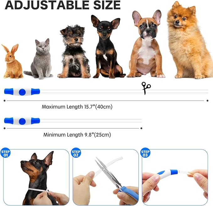 BSEEN Light Up Dog Collar, High Visibility LED Dog Collar Rechargeable- Rainproof TPU Cuttable Glowing Pet Collar for Small Dogs & Cats - Puppy Safety Lights for Night Walking (XS- Blue 40cm)-PawvioPets