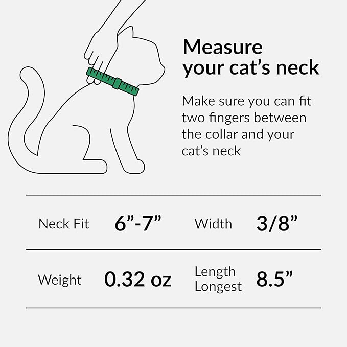 CollarDirect Leather Cat Collar with Bell - Kitten Small and Big Cat Collar for Boy Cats, Girl Cats with Safety Elastic Strap (Neck Fit 6"-7", Black)-PawvioPets