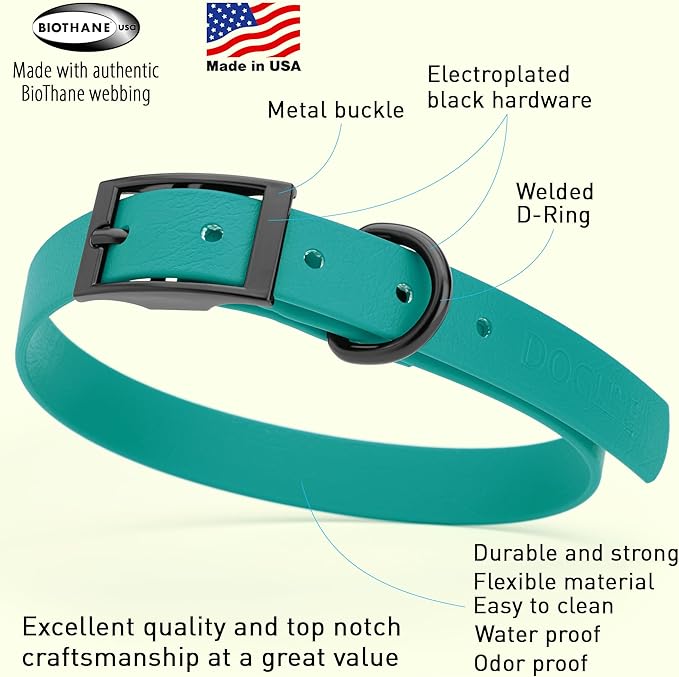 Dogline Biothane Waterproof Dog Collar Strong Coated Nylon Webbing with Black Hardware Odor- Proof for Easy Care Easy to Clean High Performance Fits Small Medium or Large Dogs, Blue Aqua-PawvioPets