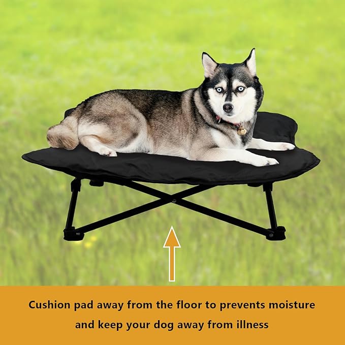 Elevated Dog Bed, Portable Raised Pet Cot for Outdoor and Indoor Folding Dog Cot Bed with Padded Filling Carrying Bag Included Pet Raised Travel Lounger for Camping Traveling (36x36x12inch)-PawvioPets